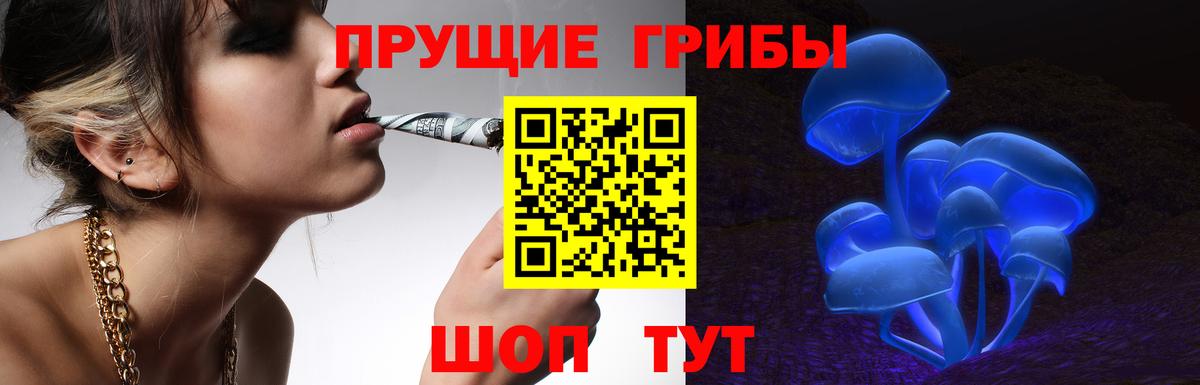 где найти наркотики  Псилоцибиновые грибы мухоморы  Вход с VPN  Великие Луки  Галлюциногенные грибы Psilocybe 